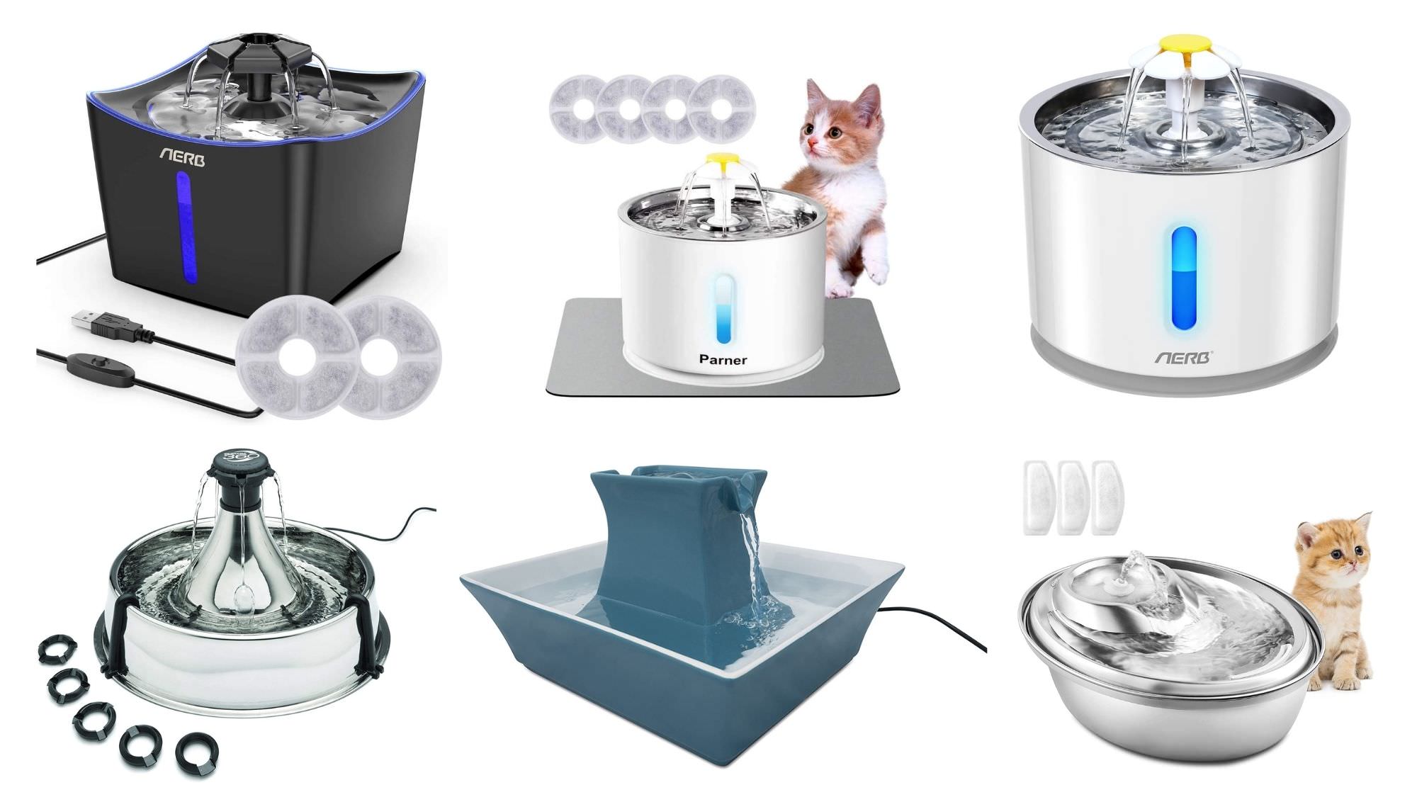 trinkbrunnen für katzen sinnvoll