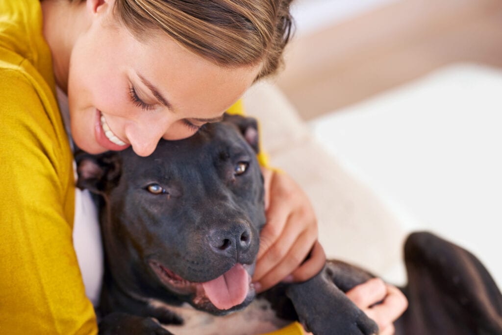 Das Clickertraining kann die Beziehung und Kommunikation zwischen Hund und Tier verbessern und die Bindung stärken.
