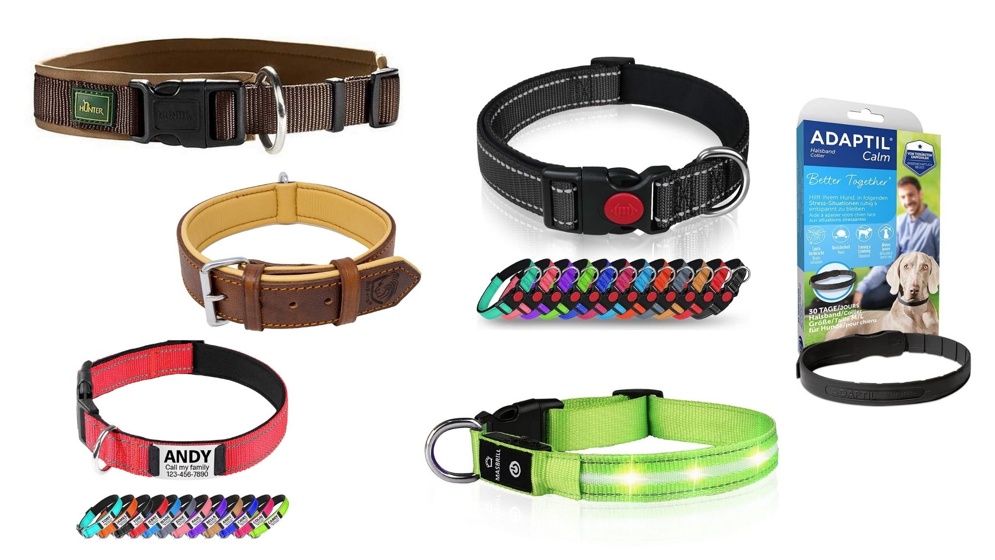 Max & Molly Playtime 2.0 Smart ID Halsband – Sicheres Hunde- & Katzenhalsband Mit Verlustschutz